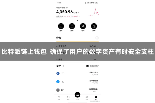 比特派链上钱包  确保了用户的数字资产有时安全支柱